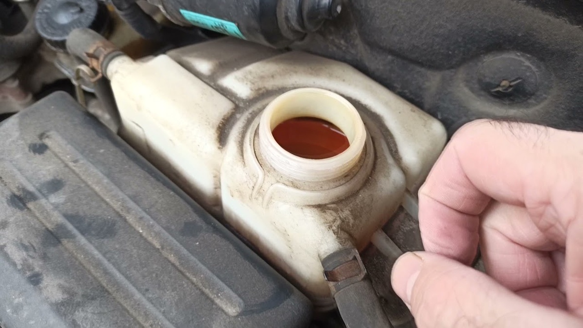 Фото из открытых источников 