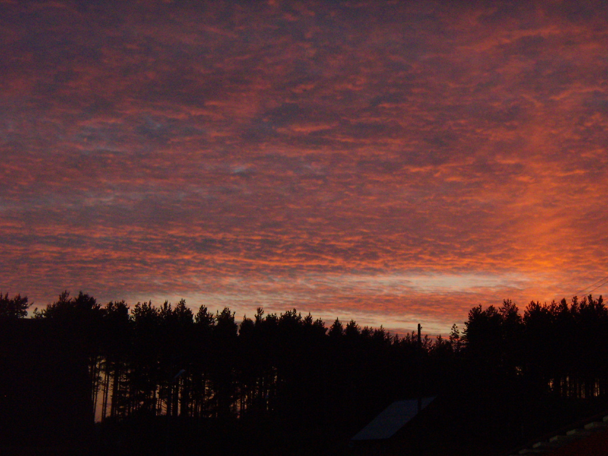 фото автора(Смятение души! Удивительно, как в природе можно найти отражение наших чувств).