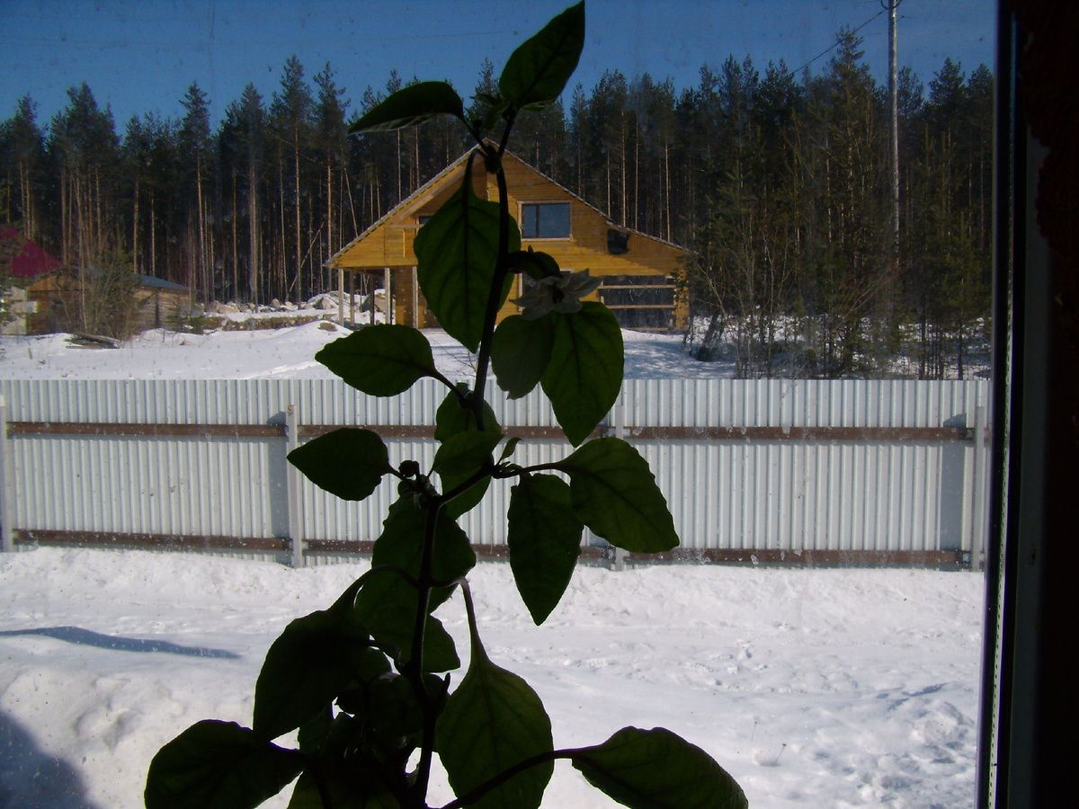 фото автора.