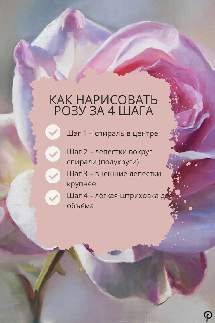 Как нарисовать розу за 4 шага?