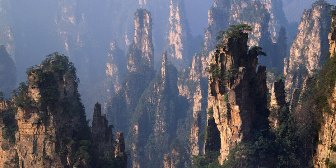 Из Владивостока запустят рейс до парка из фильма «Аватар»