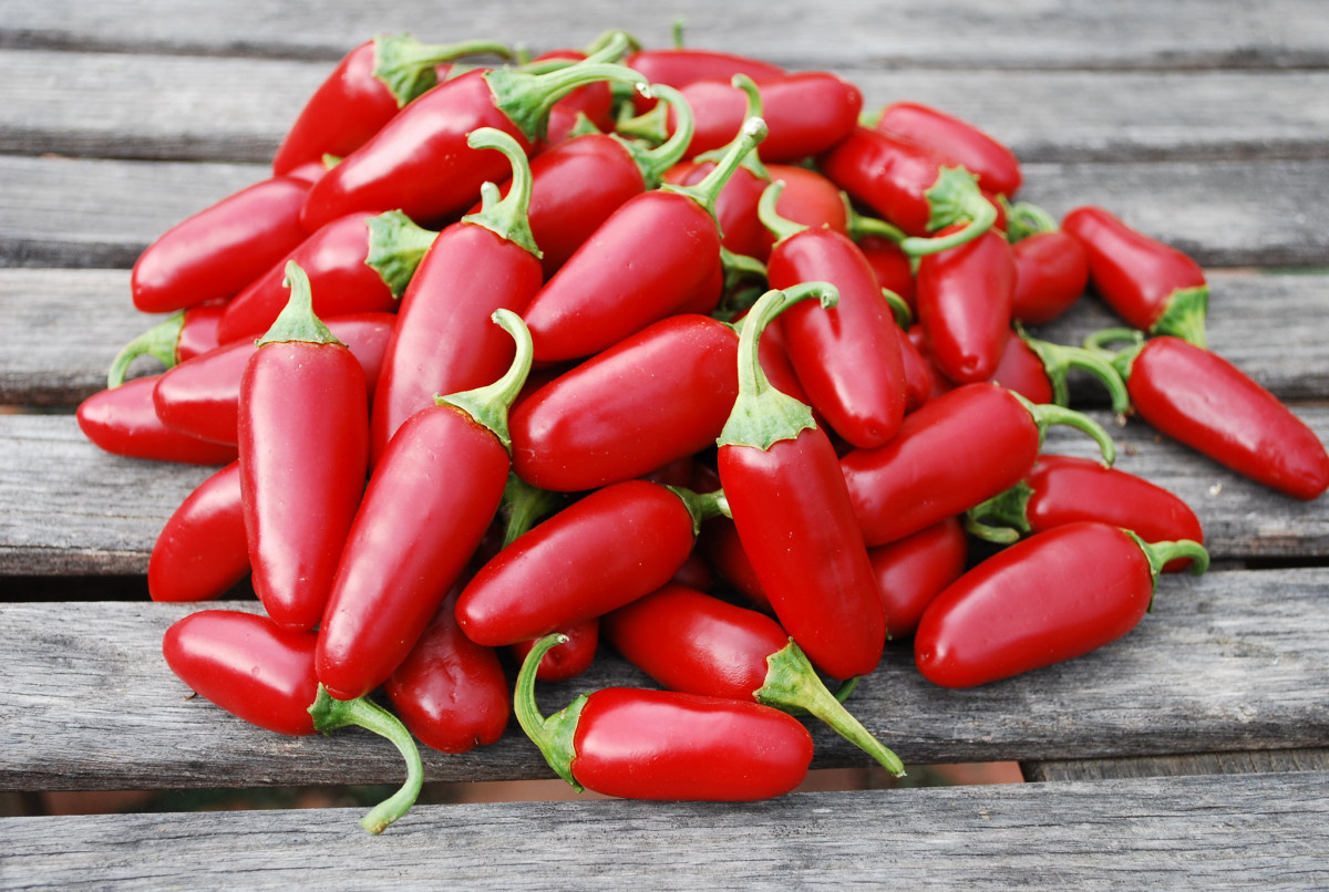 Перец Халапеньо: классика мексиканского острого вкуса