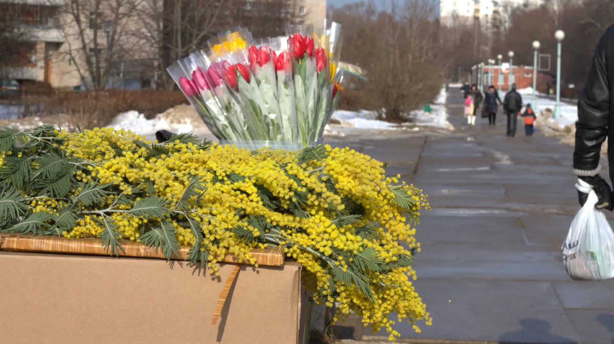 фото: Медиасток РФ