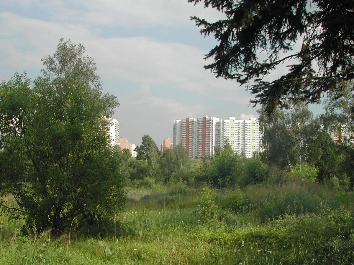 Вид на Новопеределкино с поля и леса за Лукинской улицей.