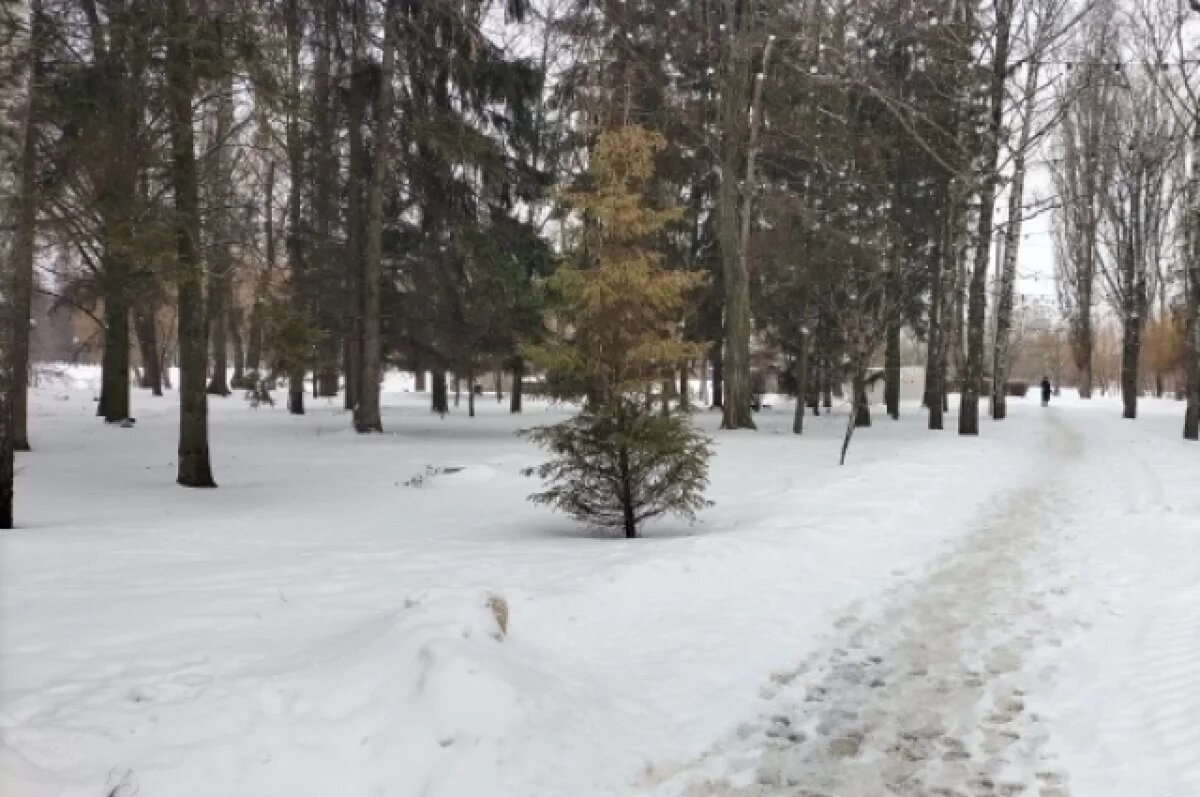    Новосибирцев предупредили об опасной погоде на мартовских