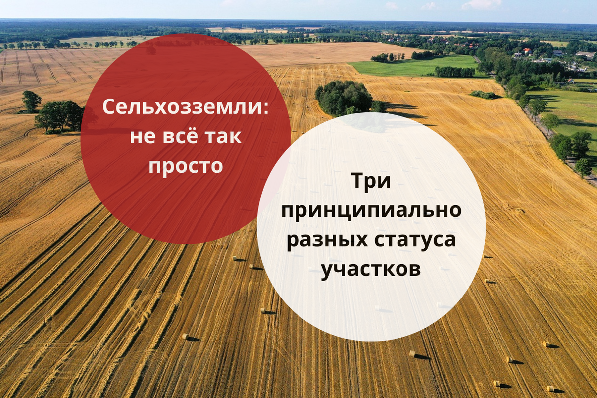 Сельхозземли: три принципиально разных статуса участков сельхозназначения / Правовой центр «Два М»