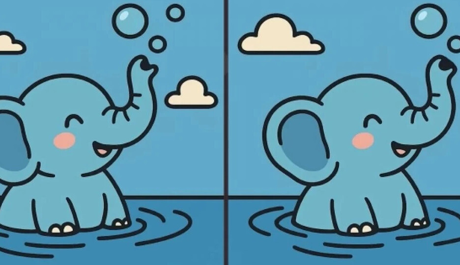 Между двумя купающимися слонятами есть отличия. Найдете их за 17 секунд?