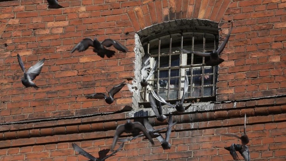 Автор фото: Евгений Асмолов / Архив "ДП"