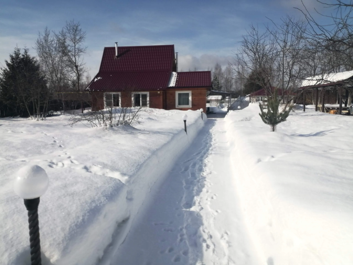 Фото автора.