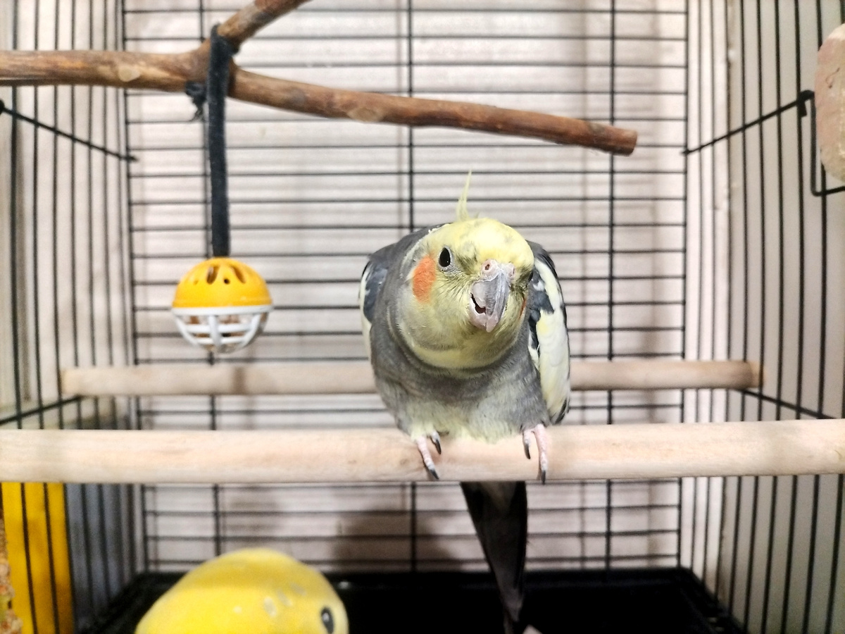 Злиться на меня что нарушаю его личное пространство 😅