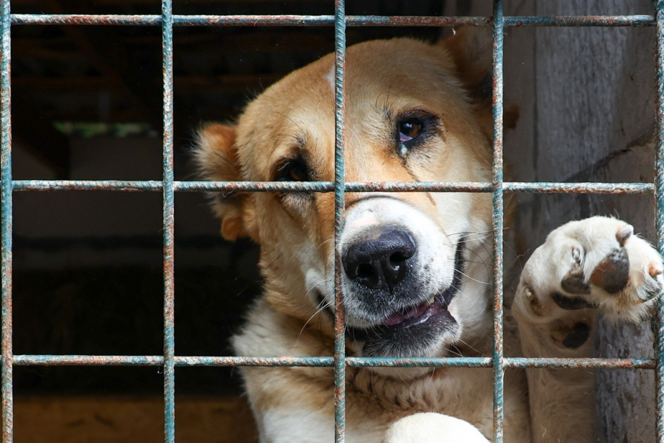    Сергей Лантюхов/NEWS.ru