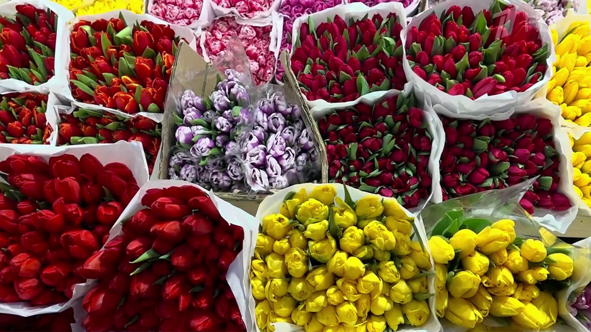    Первый канал