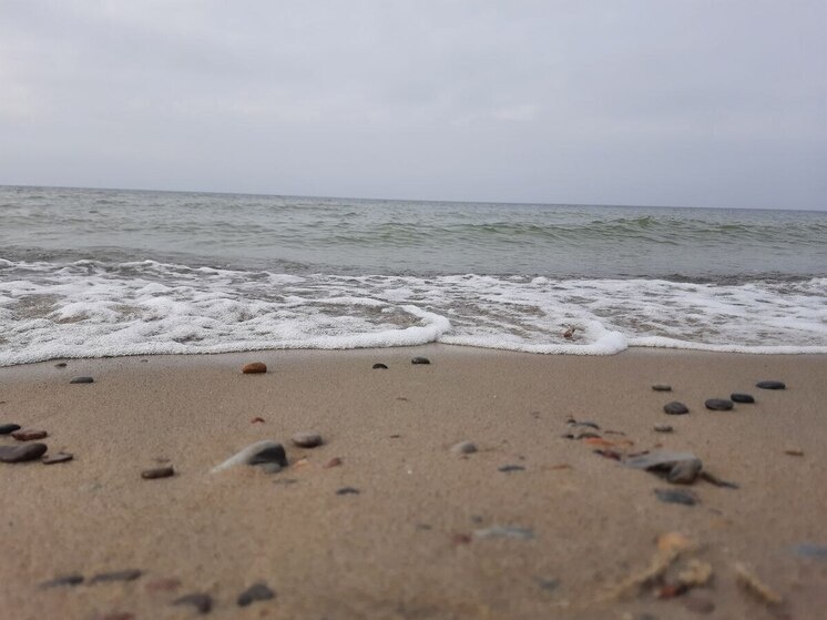   Дарья Ельцова