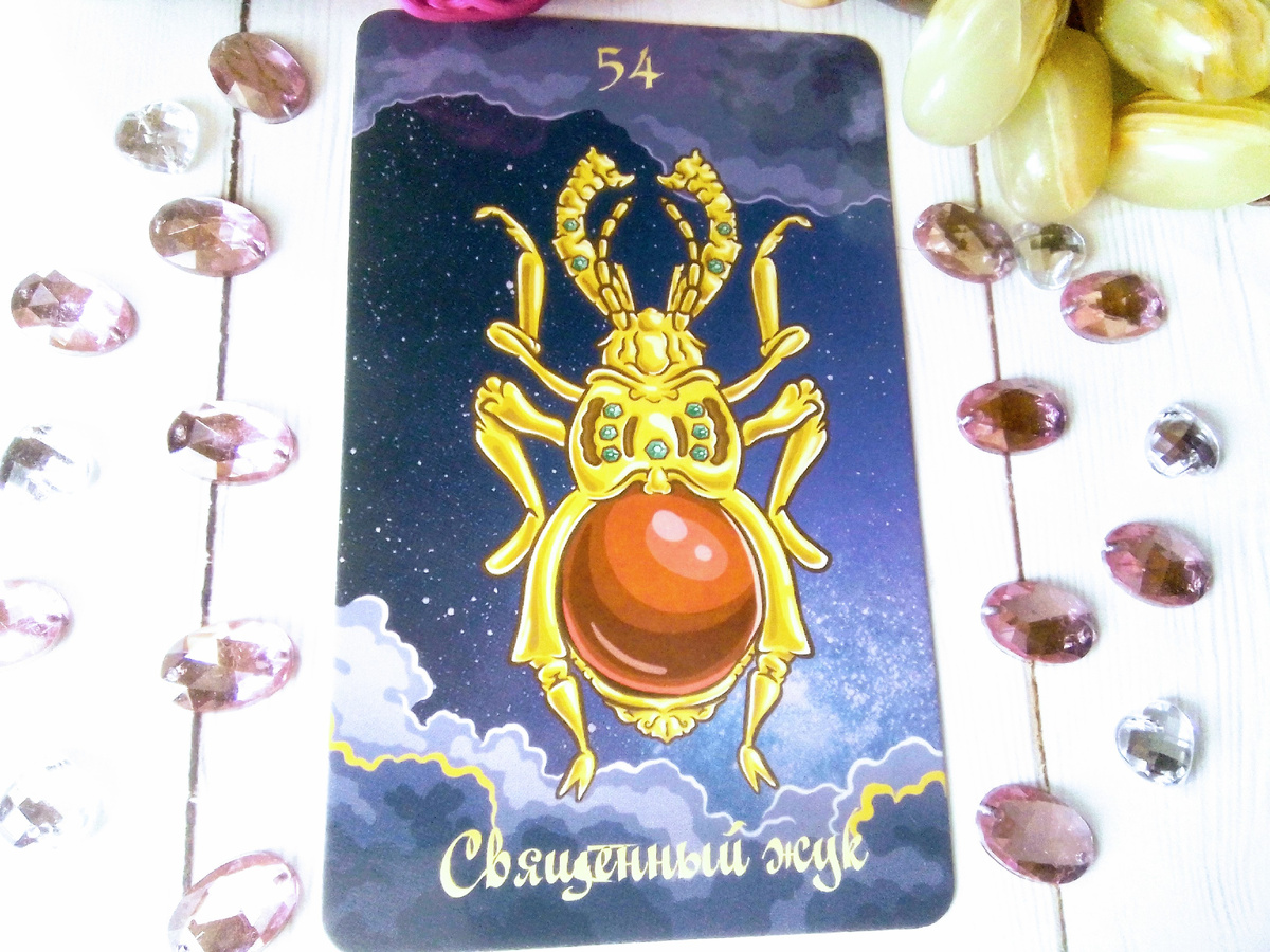 Фото автора канала.