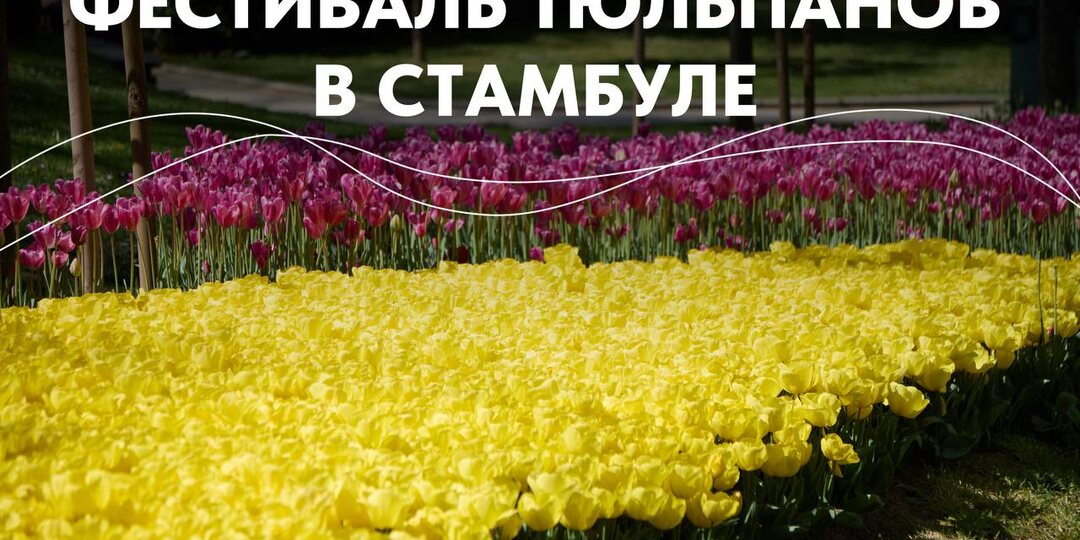Стамбул в цвету: весна, тюльпаны и изысканные маршруты Астория Гранде