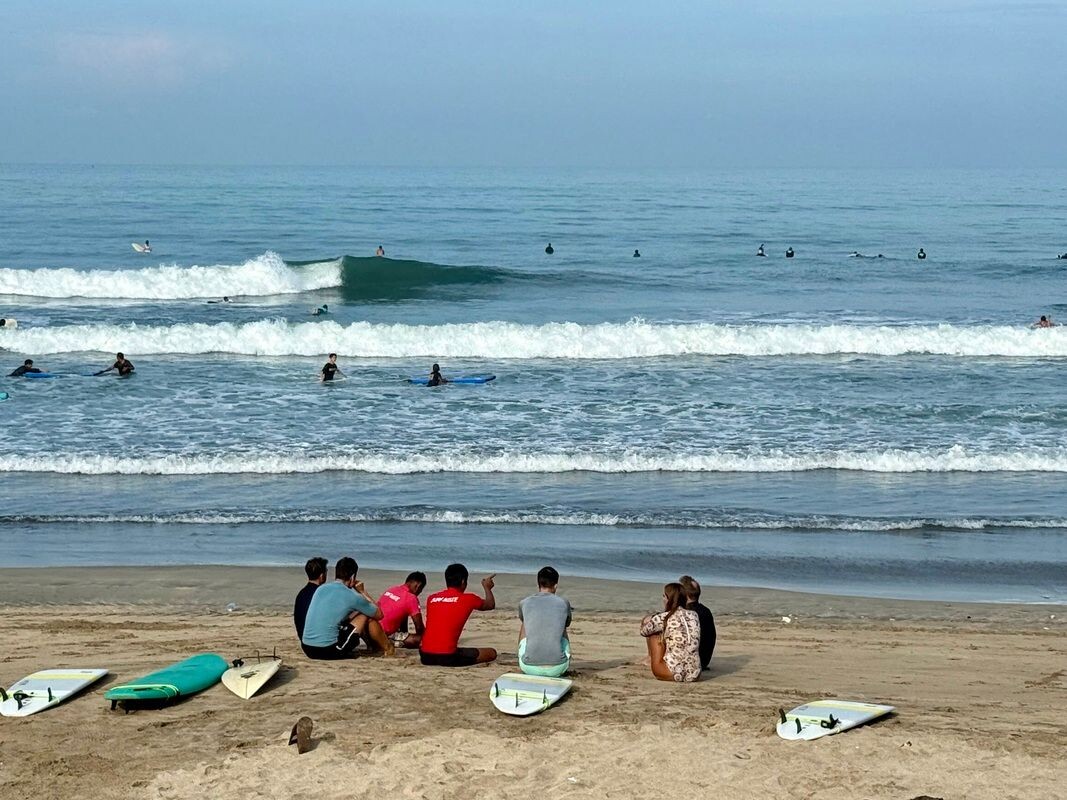     / Источник: © Carola Frentzen/dpa/picture-alliance/TASS