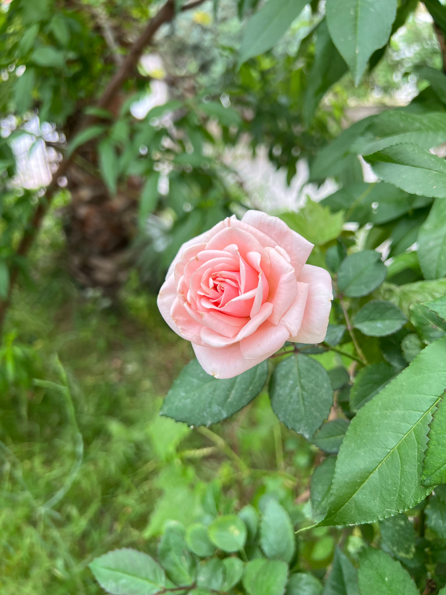 Анталия изнутри | Antalya Inside