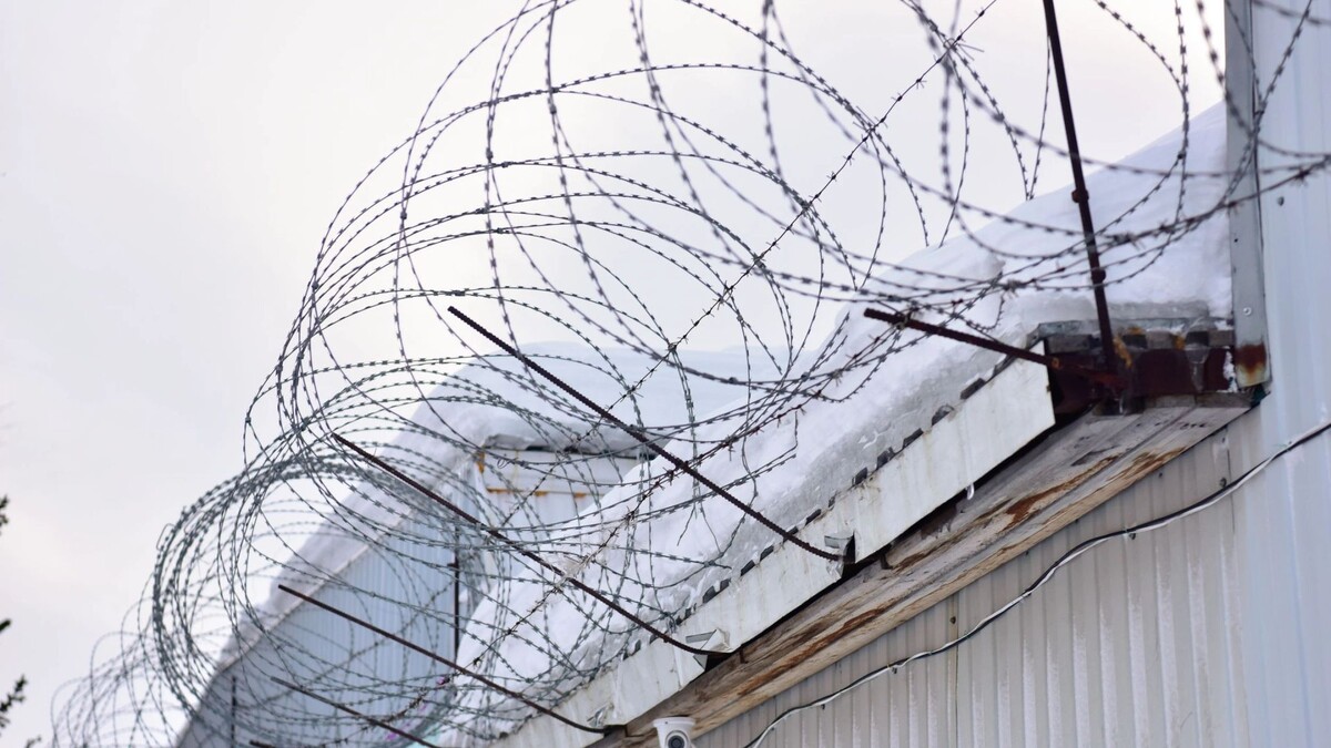    Фото: Андрей Ткачев / «Ямал-Медиа»