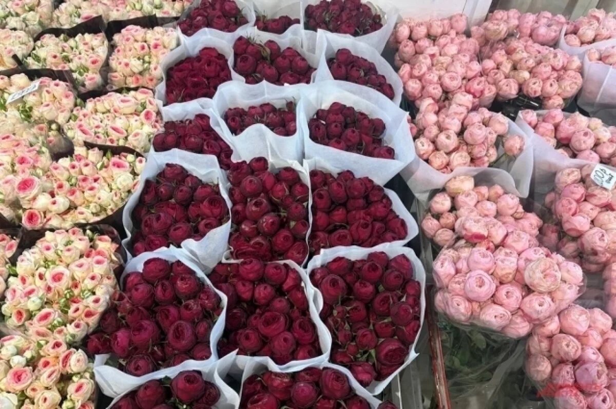    8 марта 2026 в Санкт-Петербурге.