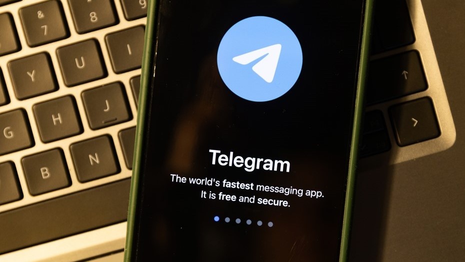    Автор фото: Melinda Nagy/Shutterstock/FOTODOM