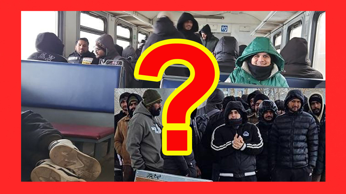 Коллаж автора из собственных фото.