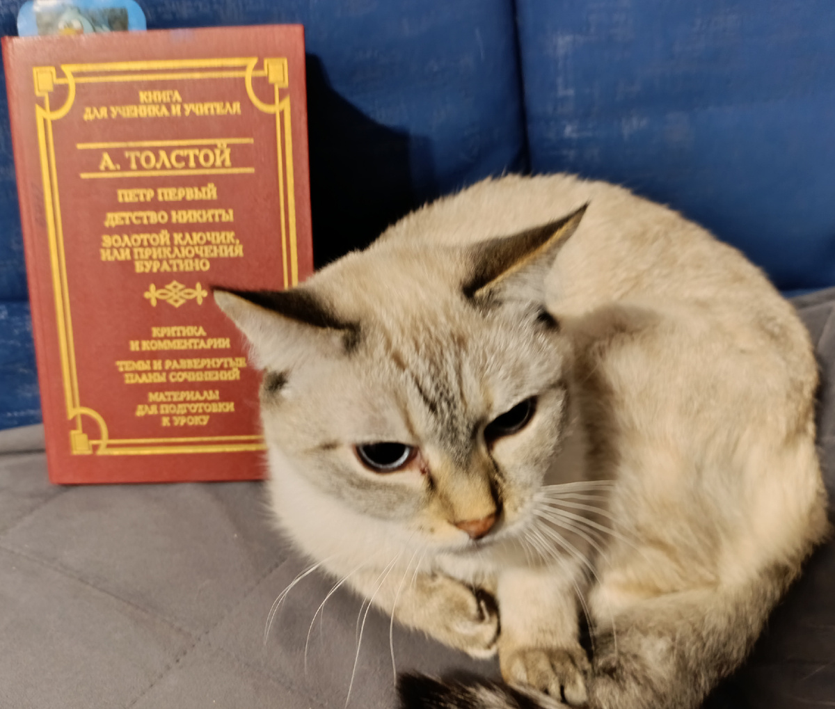 Читаемую книгу из школьной библиотеки представляет Дженька. 