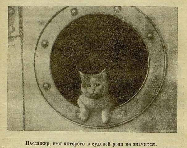 Сквозь льды: путь исследователя Арктики Владимира Визе