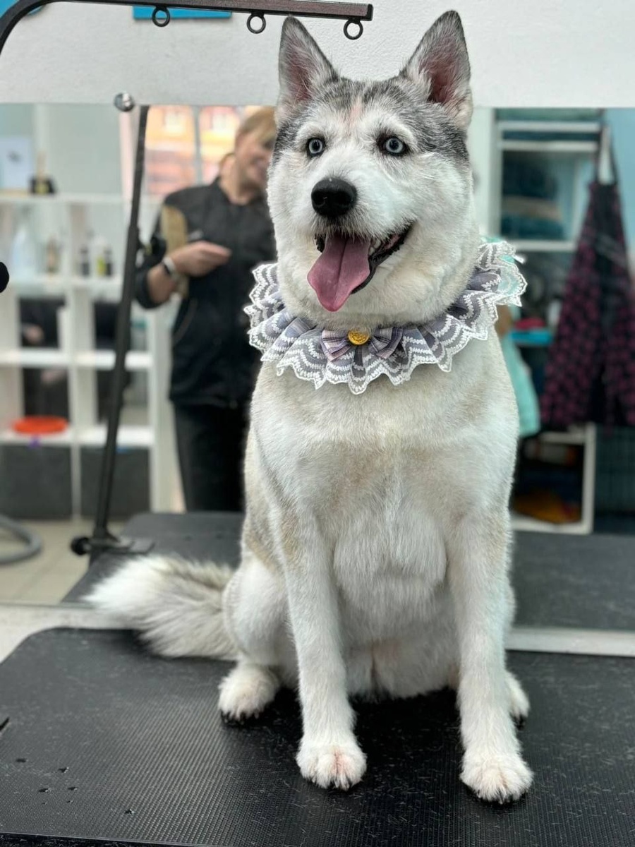 Главная героиня. Хулиганка. Авантюристка. Путешественница.