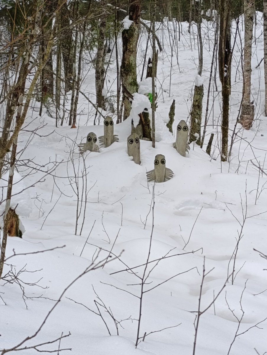 Хатифнатты 