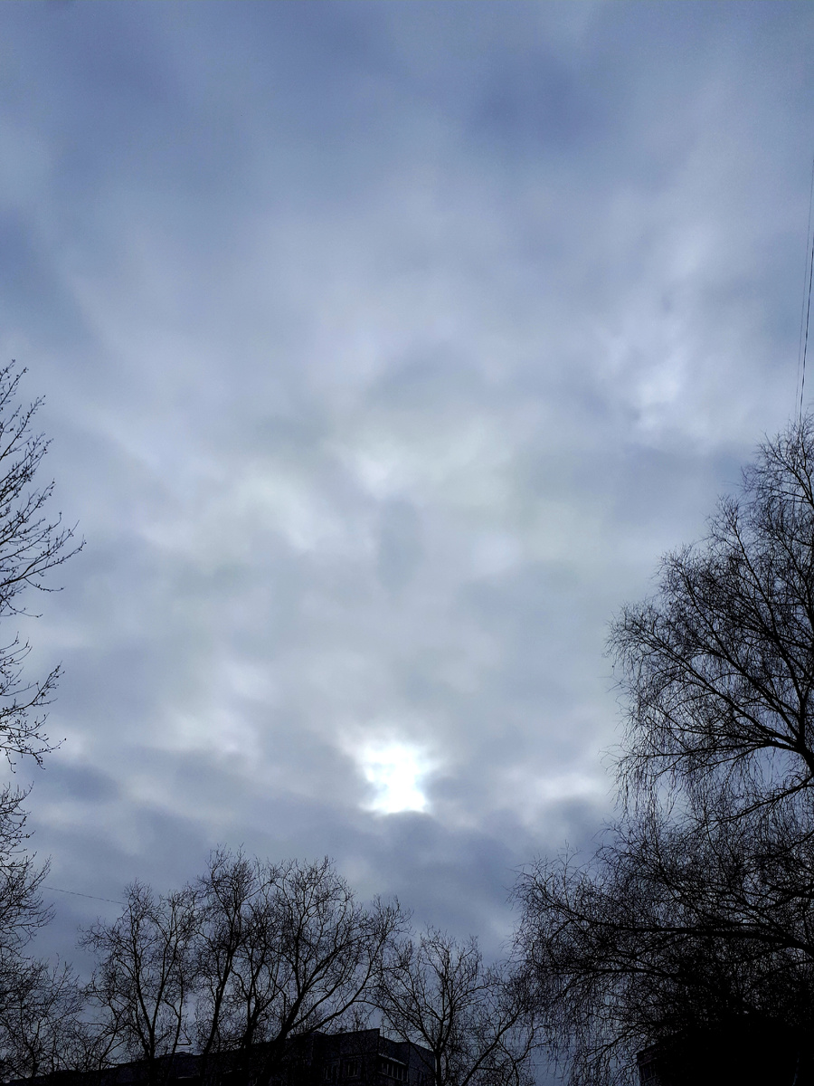 Фото автора 06.07.2026г.