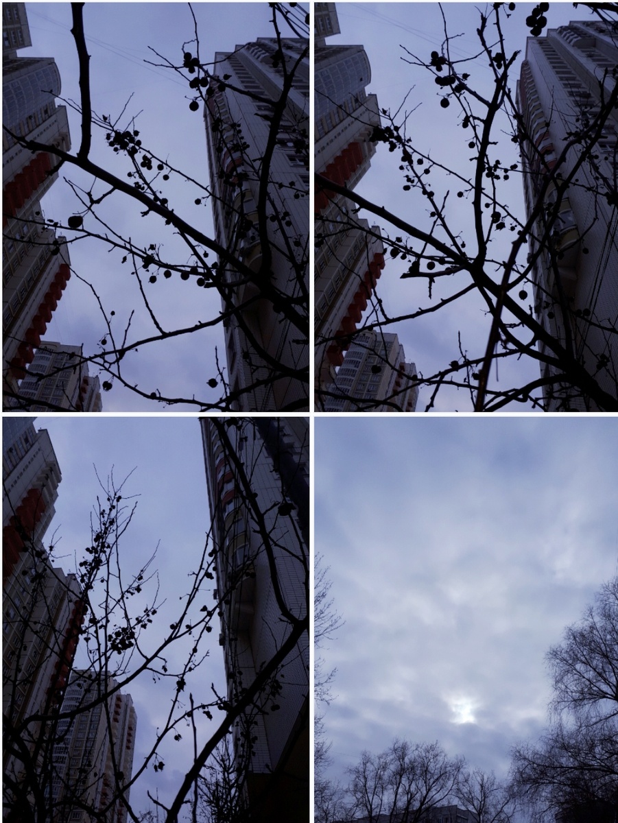 Фото автора 06.03.2026г.