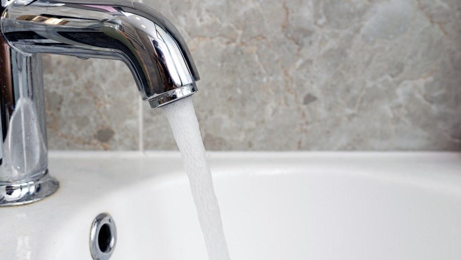    Автор фото: ARVD73/Shutterstock/FOTODOM