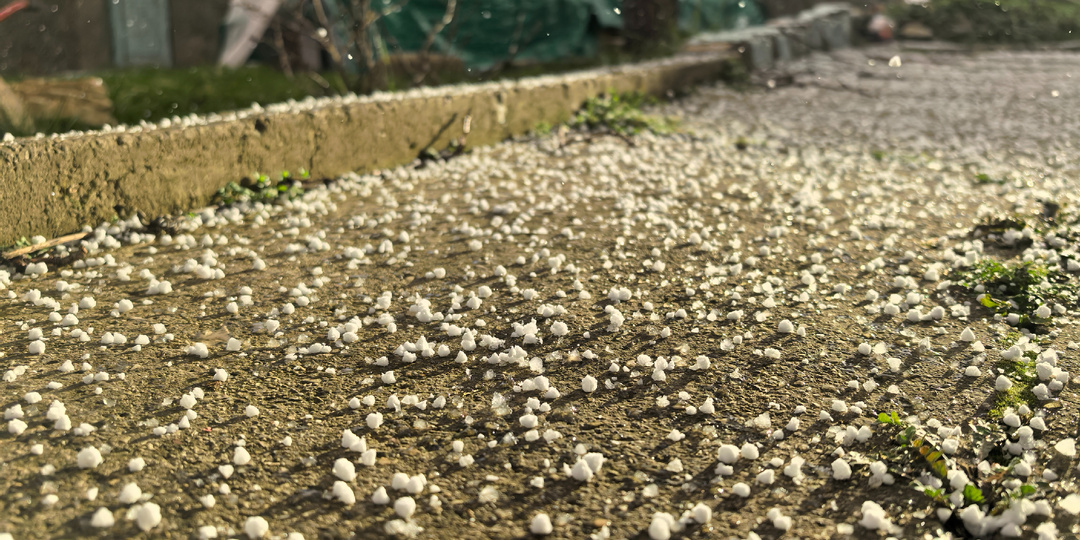 Весна, зима, весна... и все в один день