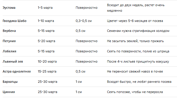 Каким цветам пора в рассадные ящики