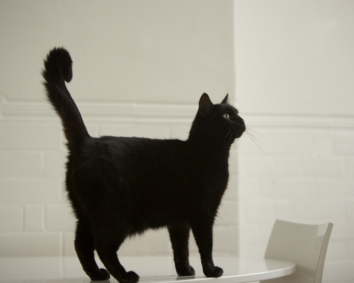 Источник изображения: сайт fishki.net