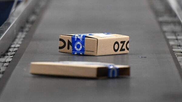    © Sputnik / Максим Богодвид