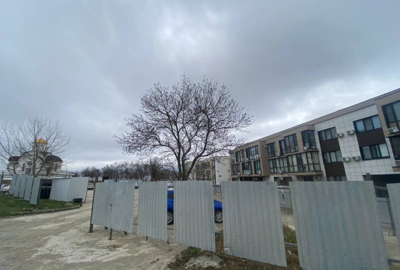 Забор и точка: новороссийцы не знают, будет ли у них мусорка, парковка и остановка