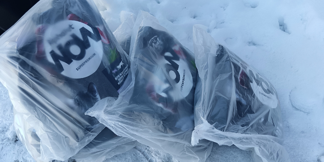 Кошкам привезли еду, а у нас случилась маленькая неприятность