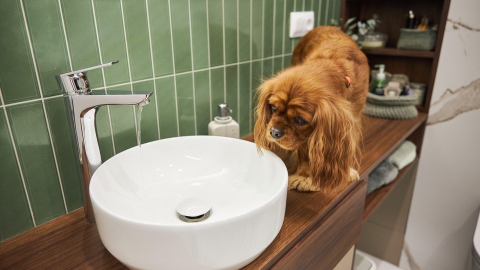 Качество горячей воды попросили проверить после аварии на Автовской ТЭЦ