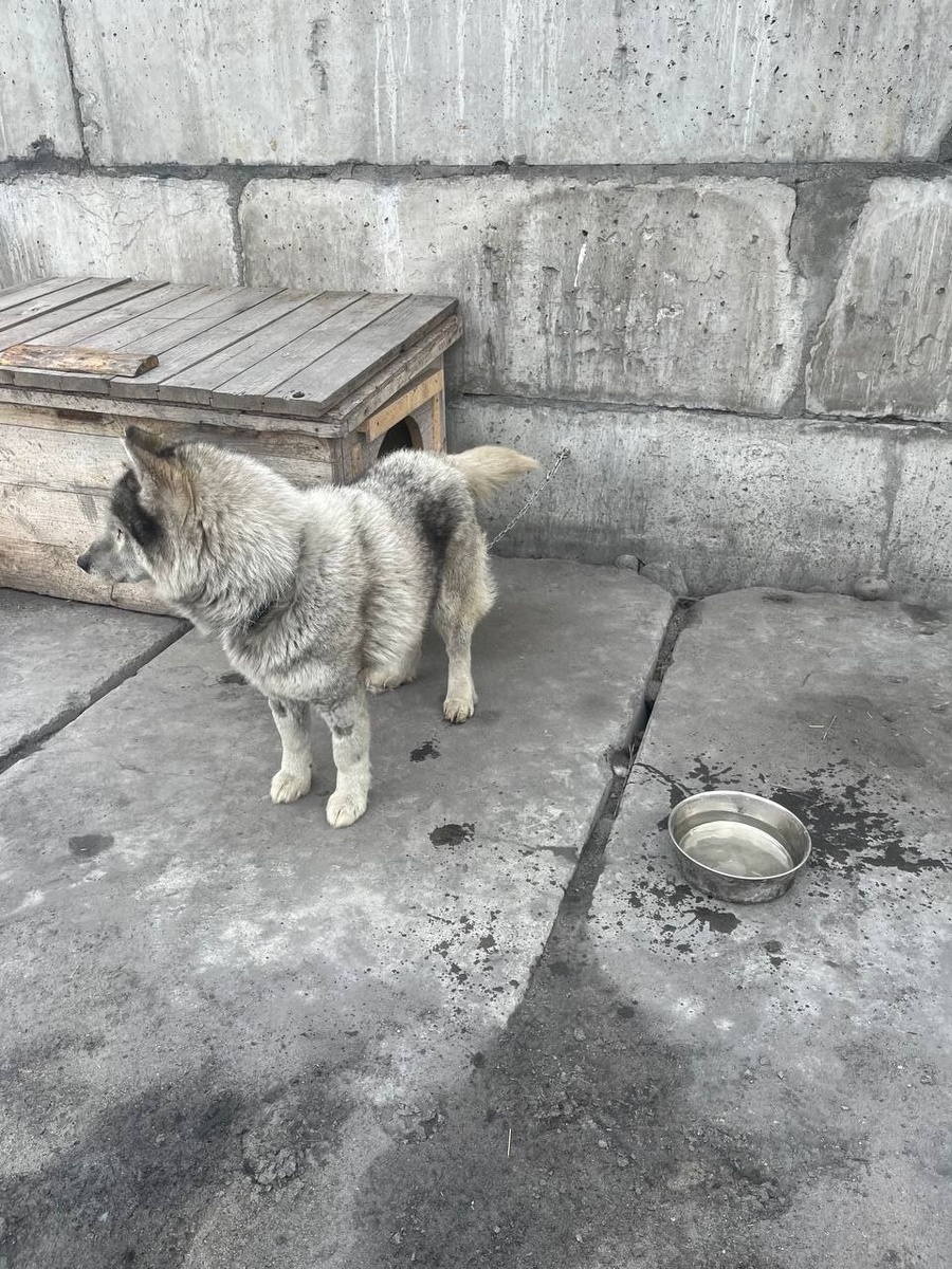 Таким приехал Лайт на материк