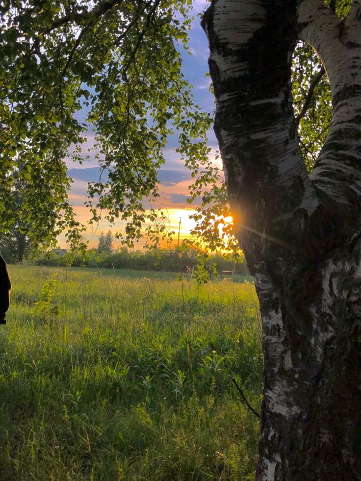 #романтика #друзья #лето #деревня