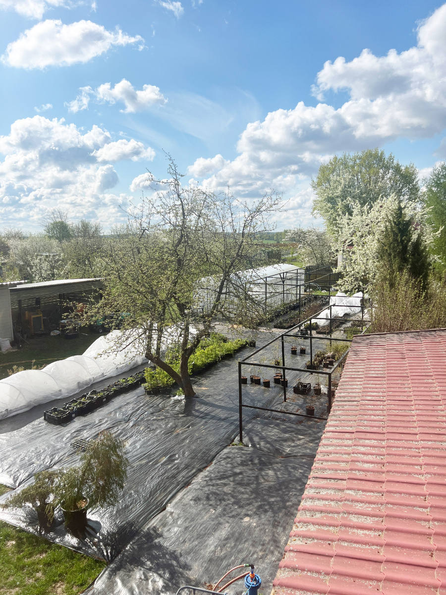 Наша контейнерная площадка в питомнике. Благодаря ткани - участок выглядит чистым и ухоженным.