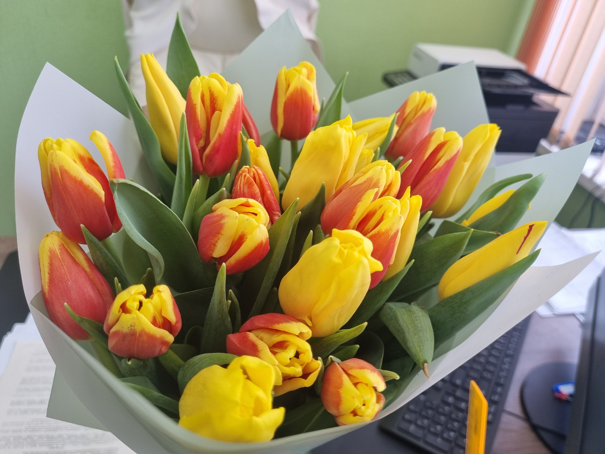 Еле донесла все домой. 