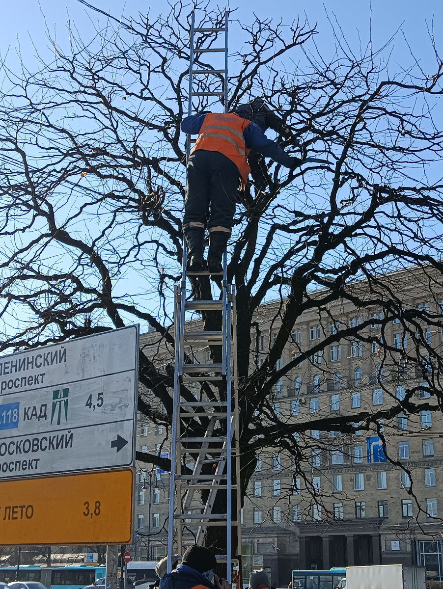 Серьезная высота,на самом деле 