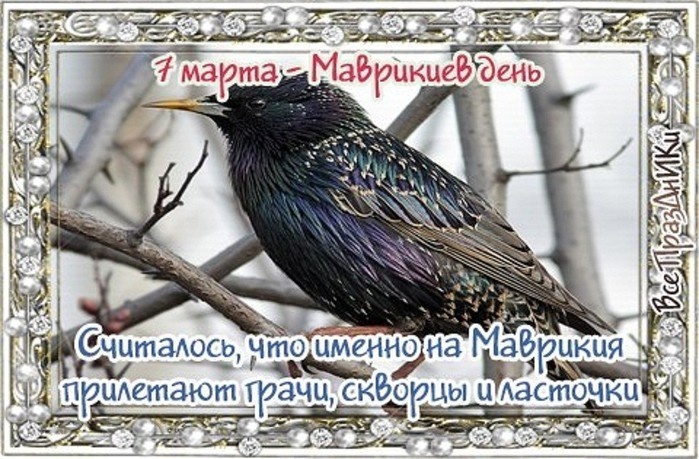 свобод.источник