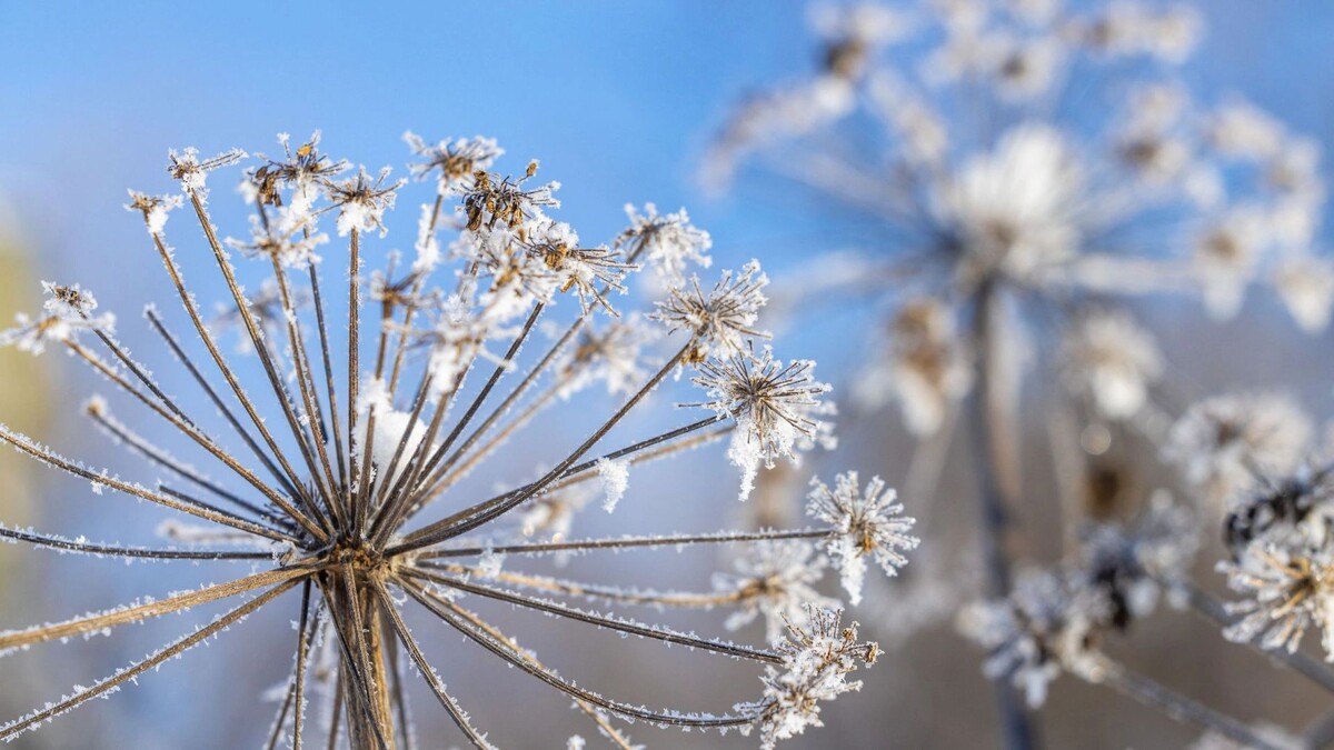    Фото: Федор Воронов/«Ямал-Медиа»