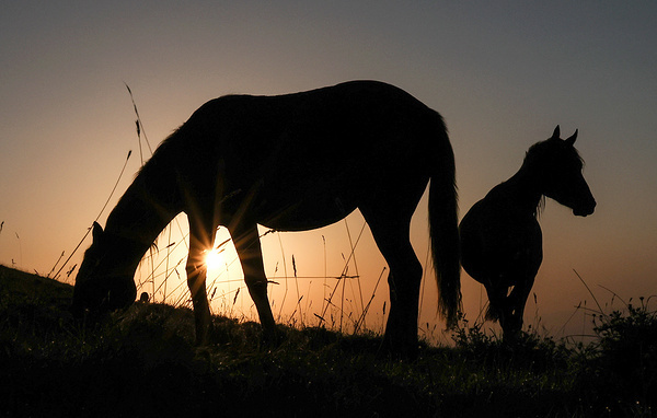 Валерий Шарифулин/ТАСС