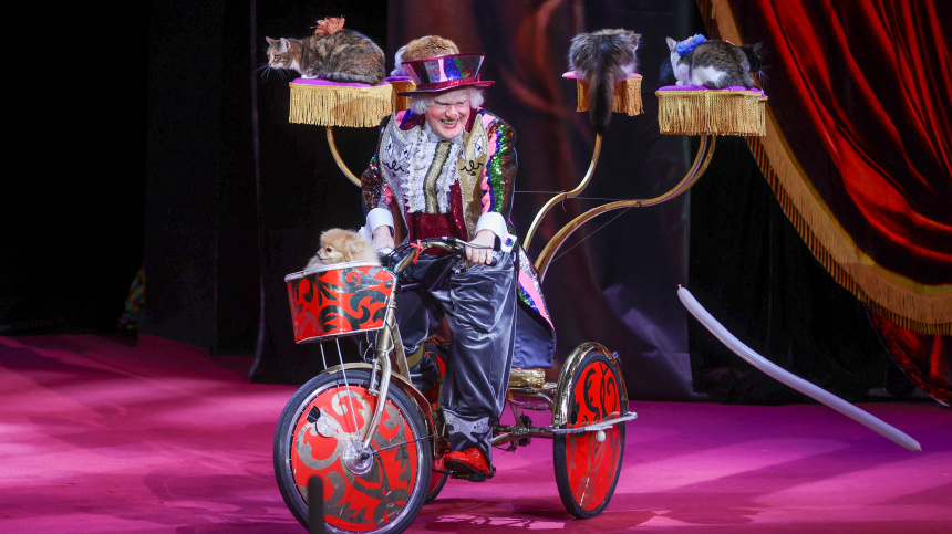    Фото: www.globallookpress.com/Petrov Sergey