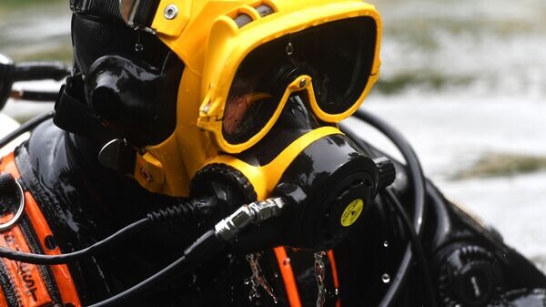    © Sputnik / Сергей Мамонтов