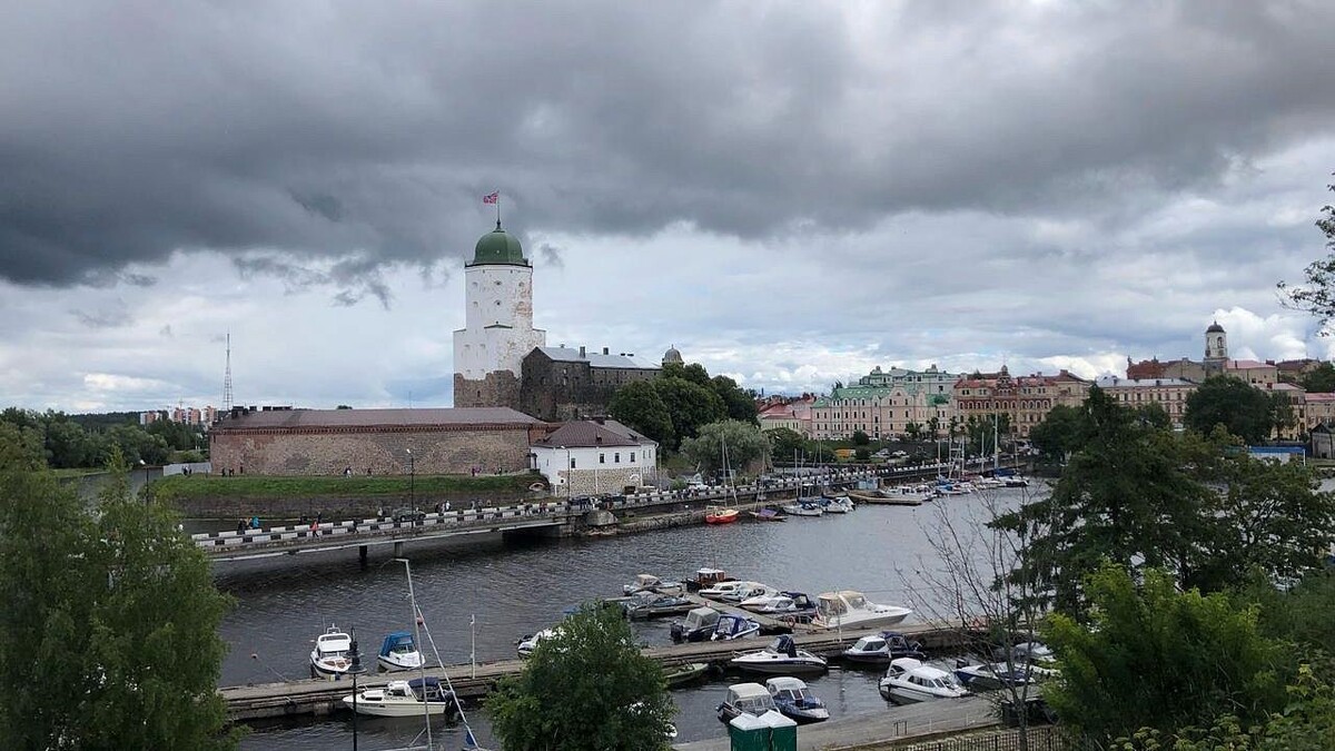    Фото: Вероника Новокрещеннова